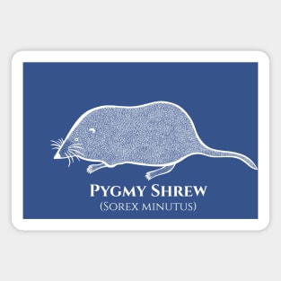 Pygmy Shrew with Common and Scientific Names animal art design Magnet